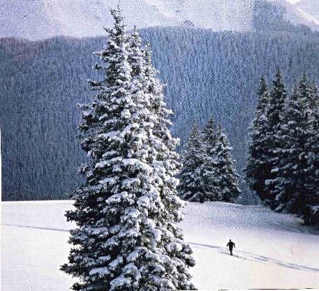 CX skiing